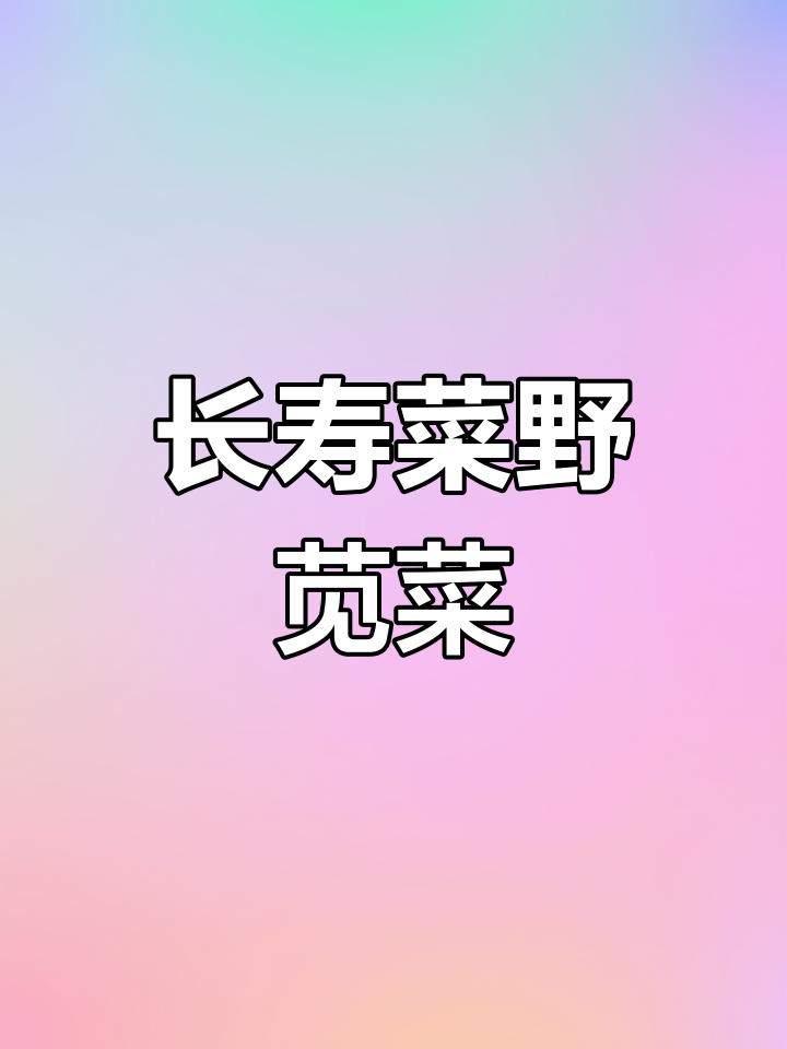 野苋菜:长寿菜的神奇功效与美味做法