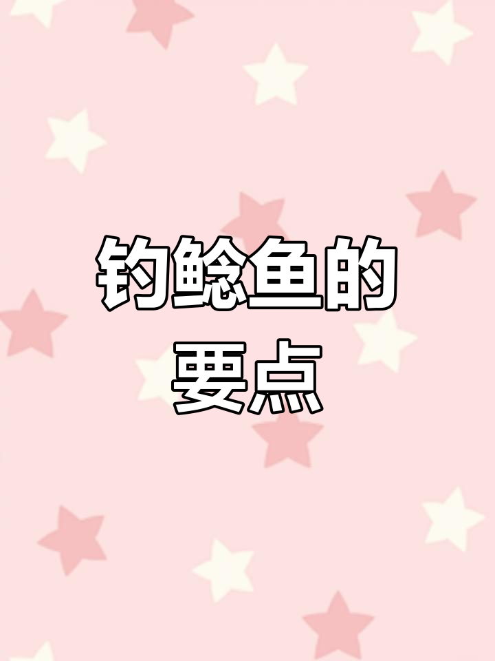 鲶鱼钓鱼技巧全攻略