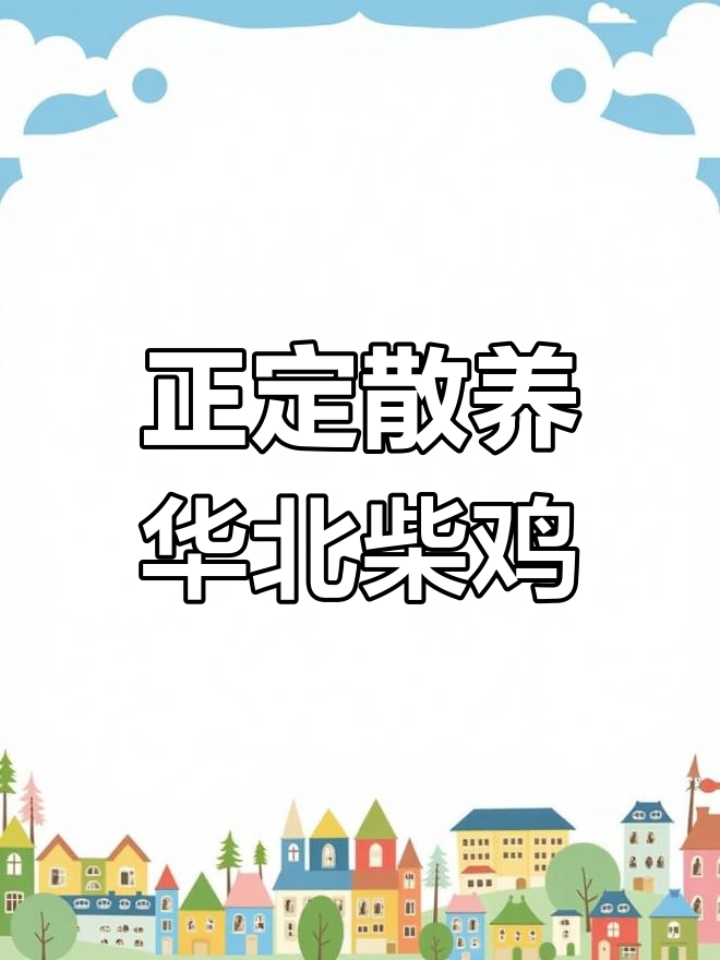 石家庄正定县散养华北柴鸡,公母皆有,土味十足