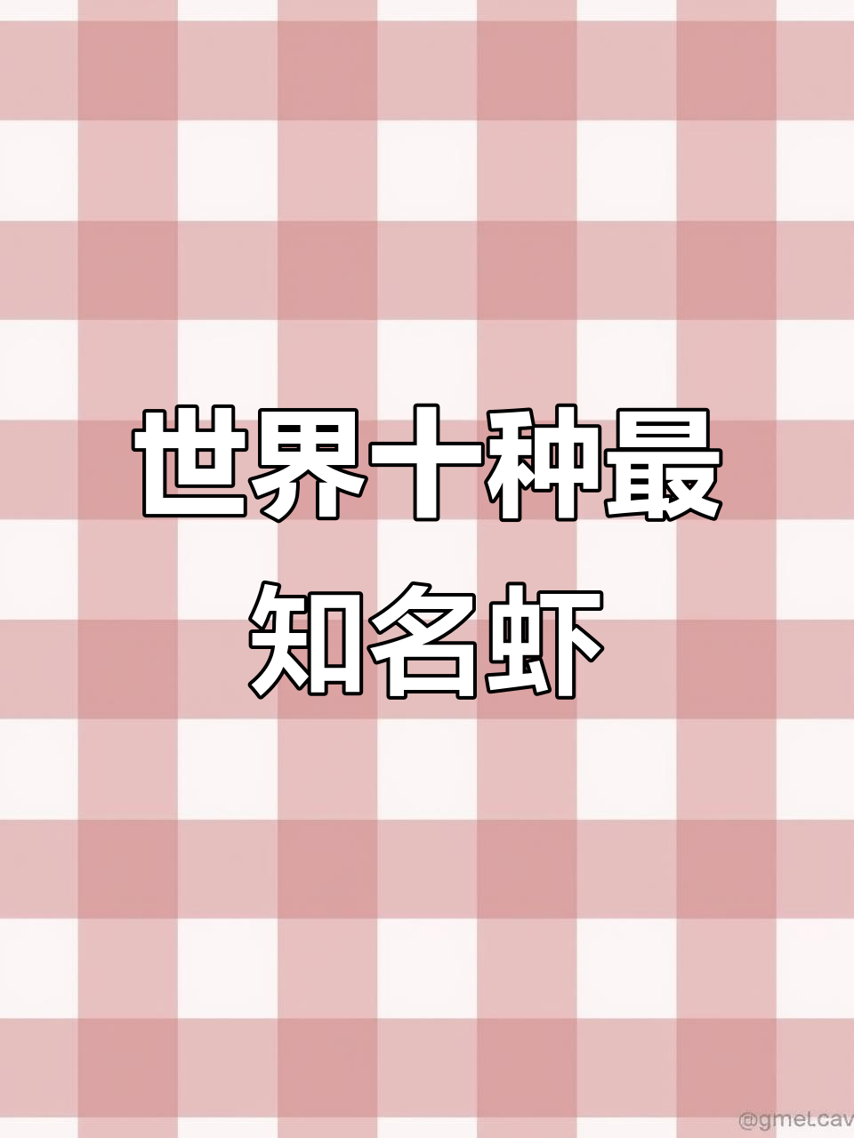 全球十大名虾大揭秘,看看你吃过几种?