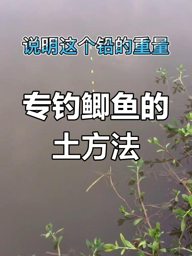 七星漂调钓技巧,轻松垂钓鲫鱼