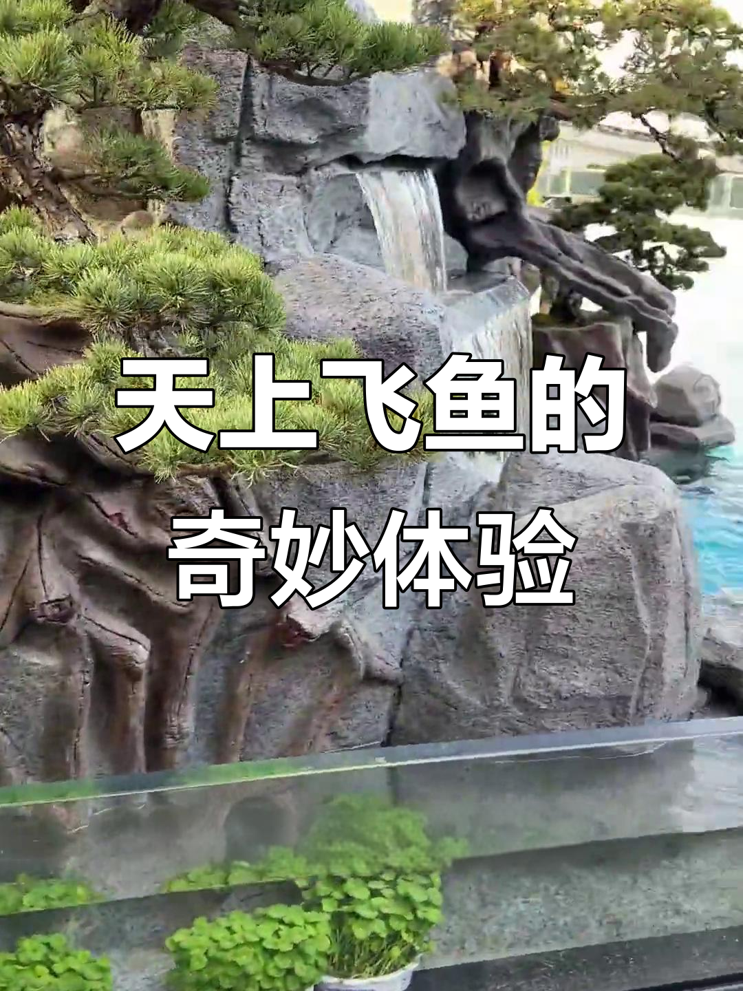 悬浮天井鱼池,锦鲤畅游空中水世界