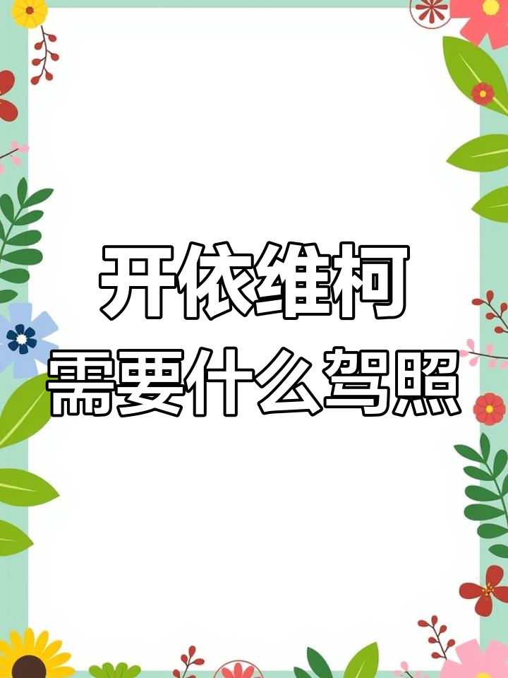 依维柯柴油版大面包车,适合拉人载货
