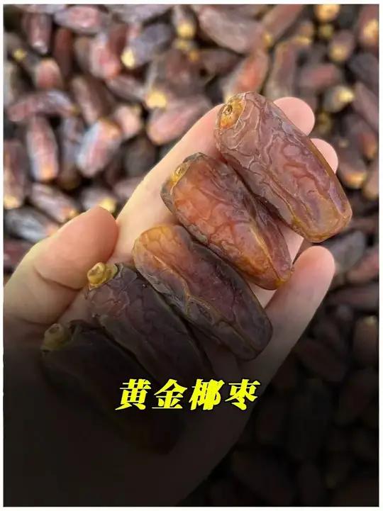 被中东人奉为黄金面包的椰枣,到底是怎么制作的?#伊朗