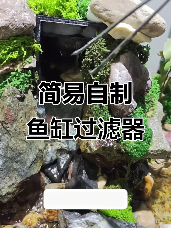 自制鱼缸过滤器,轻松更换过滤棉避免漏水