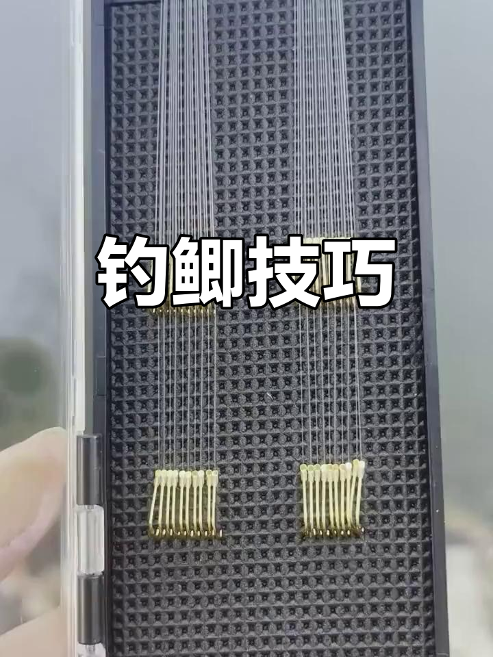 鲫鱼嘴小,袖钩更易入口刺中