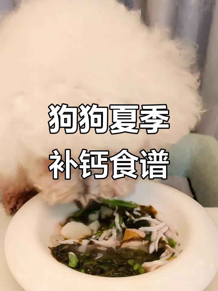 夏季狗狗补钙食谱：银鱼鸭肉紫菜汤，营养丰富又低脂