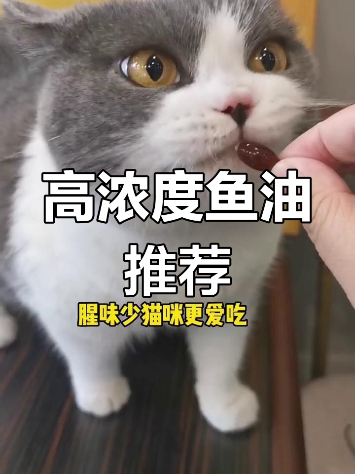 鱼油选择有讲究,高浓度才有效,乱吃等于浪费钱