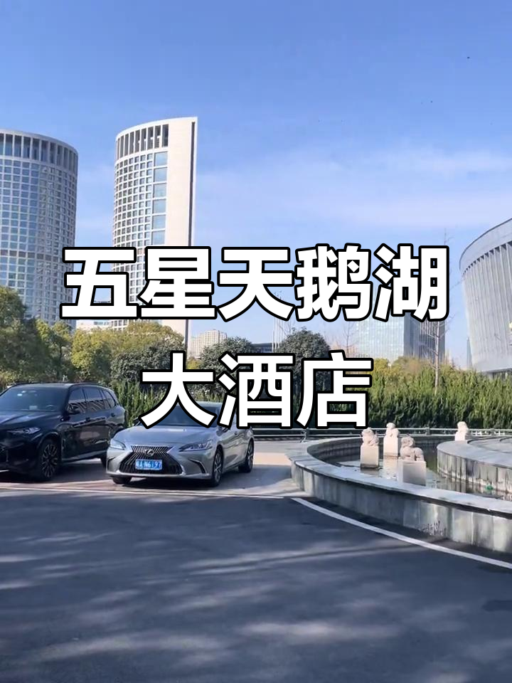 合肥天鹅湖大酒店:五星级政务区酒店体验
