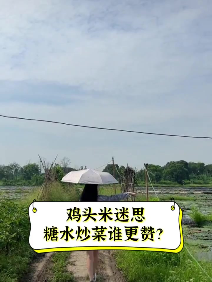 鸡头米迷思,糖水炒菜谁更赞?