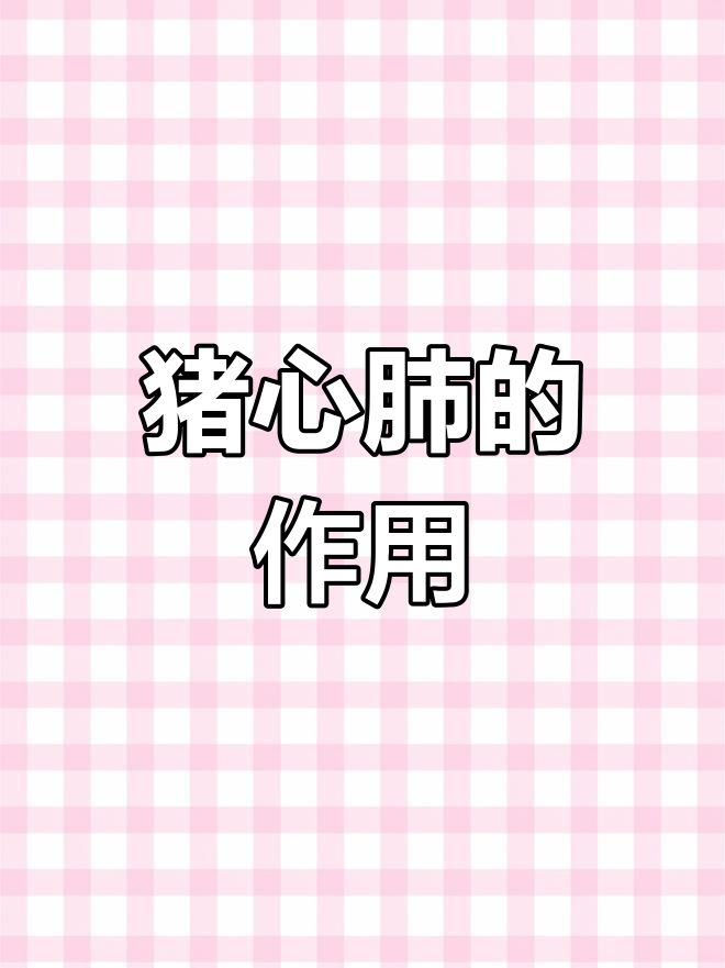 猪心肺的神奇功效,了解一下