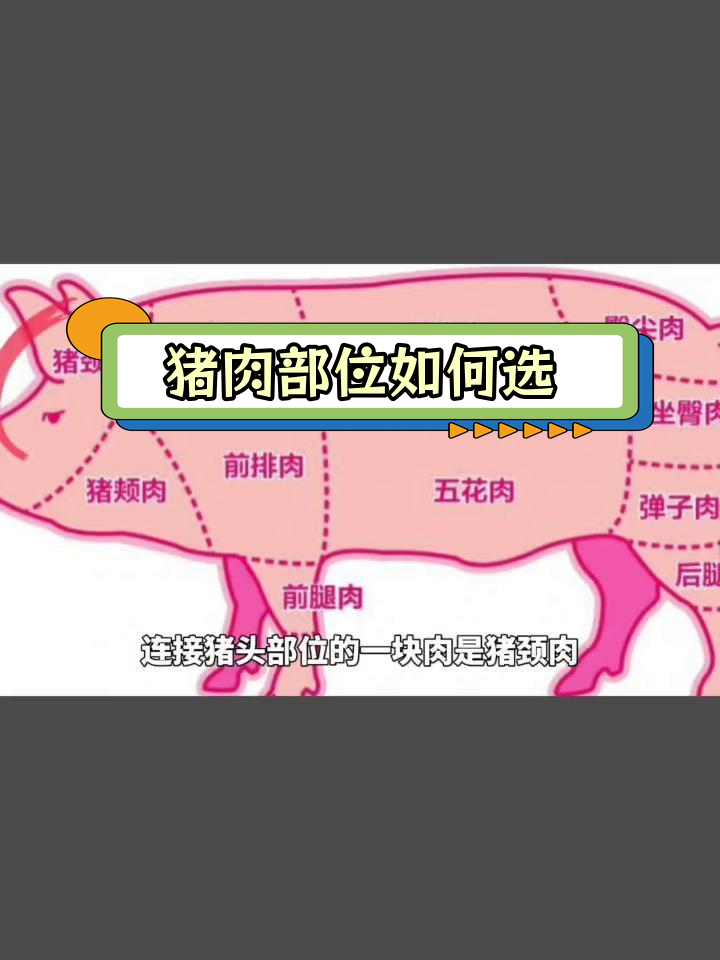 猪肉各部位用途全解析,教你做菜更得心应手