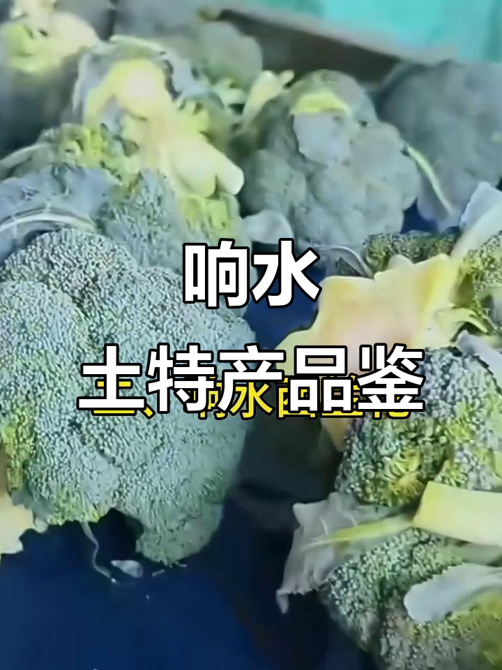 盐城响水特产大揭秘:从四腮鲈鱼到海鸭蛋