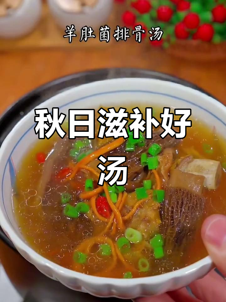 秋季滋补,羊肚菌汤暖心又美味,适合各种炖品