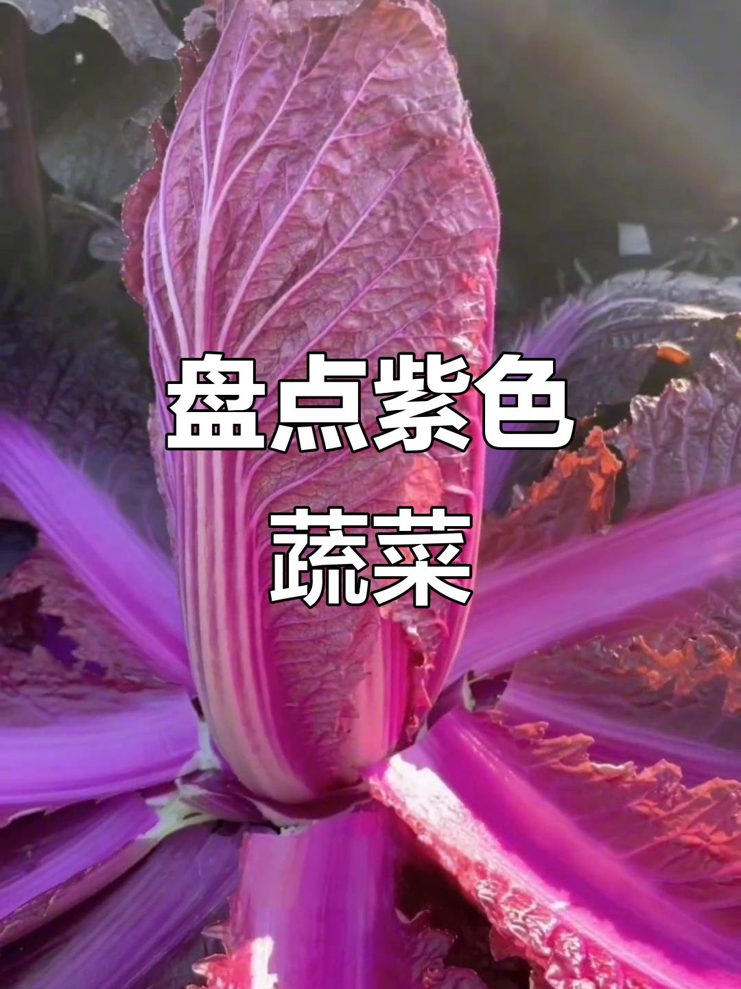 17种紫色蔬菜大揭秘，看看你吃过几种？