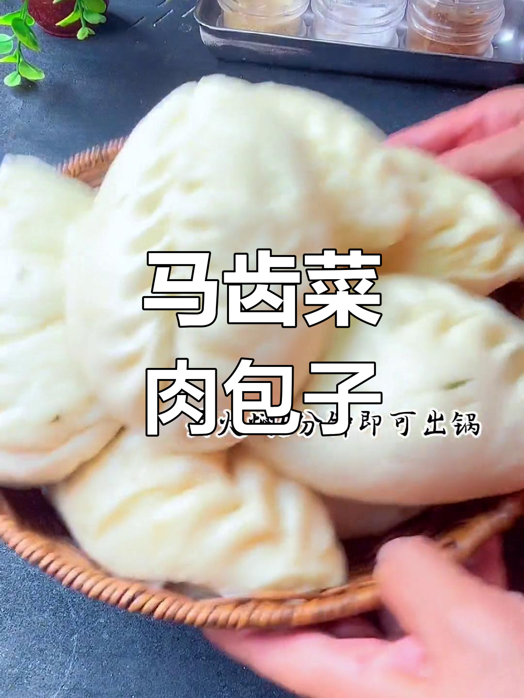 春季马齿菜大包子,蓬松美味停不下来
