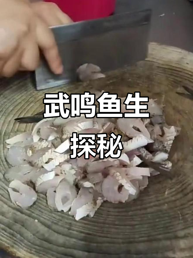 武鸣仙湖鱼生大揭秘,妈妈小三带来领导味