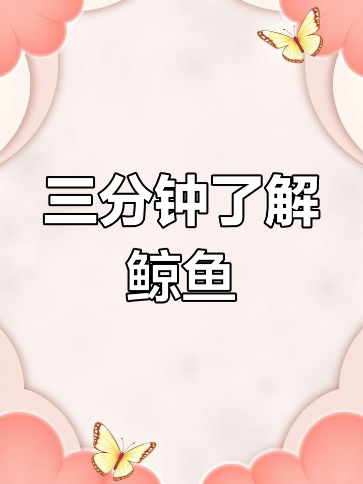 鲸鱼与海豚的奇妙世界