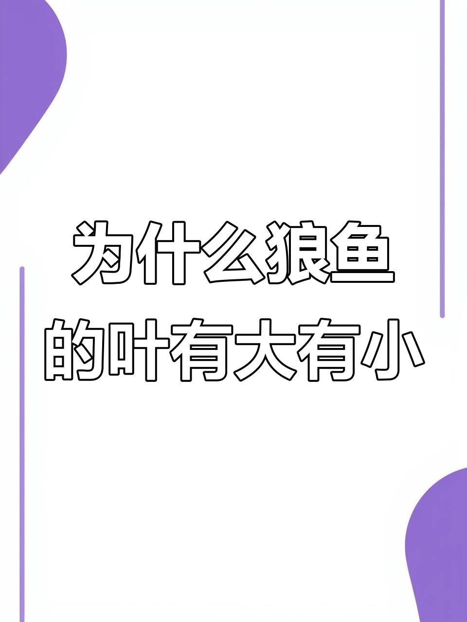 狼鱼叶子大小差异背后的秘密,原来是这样!