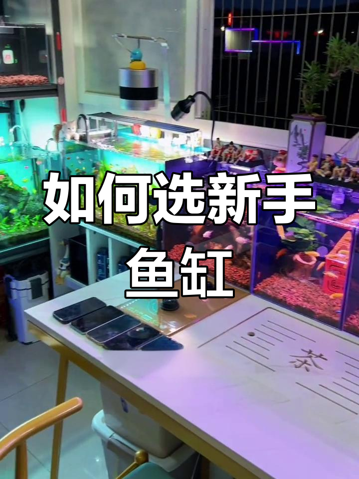 新手养鱼必看:如何挑选合适的鱼缸,避免踩雷