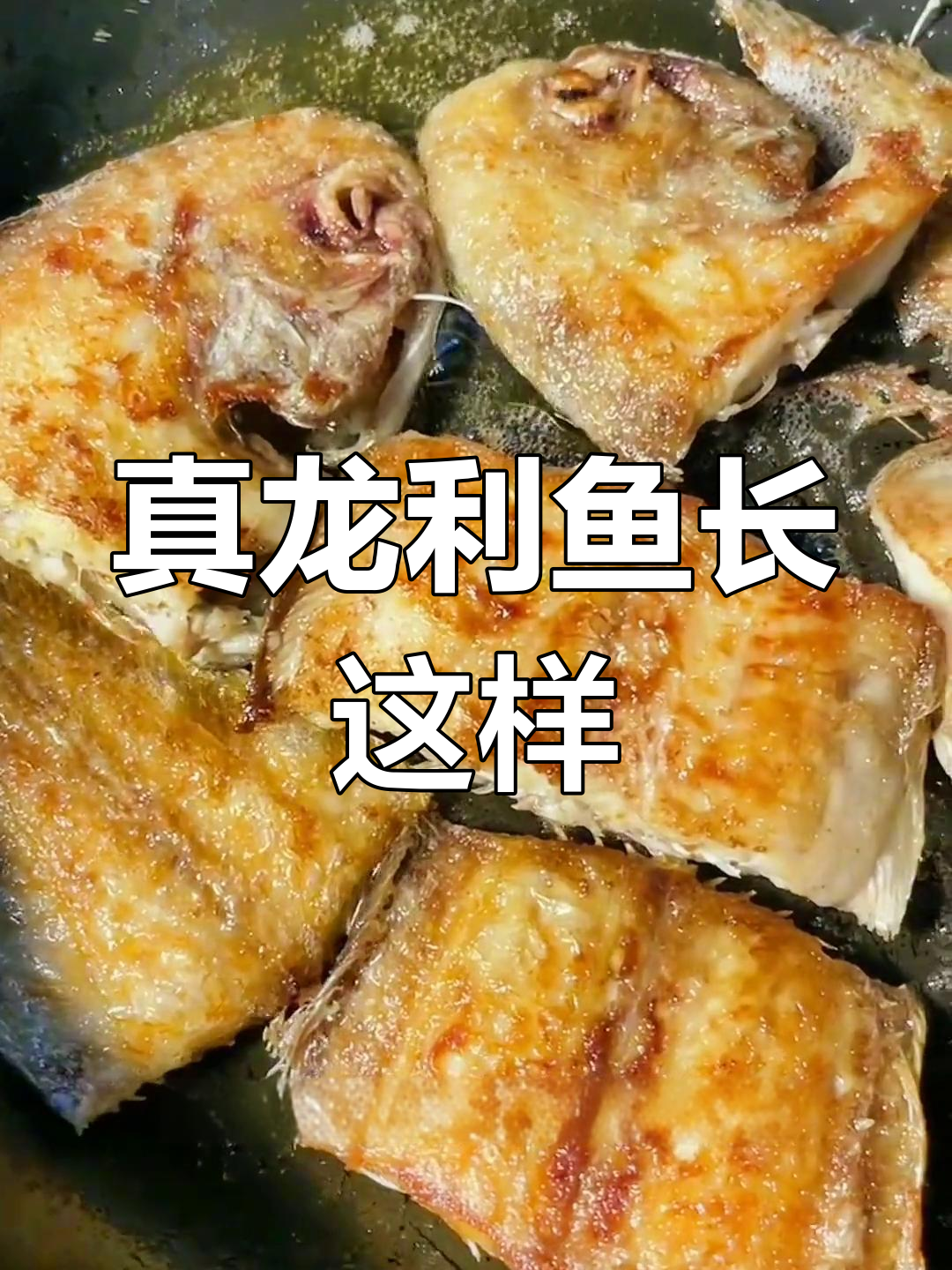 龙利鱼与巴沙鱼的差异揭秘