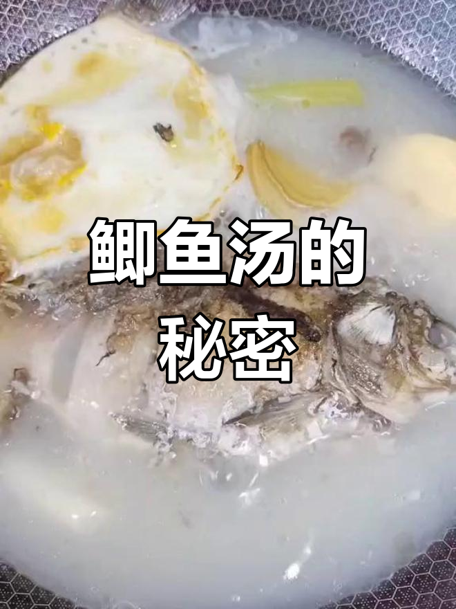 鲫鱼汤营养丰富,孕期产后必备,奶白鲜美做法大公开!