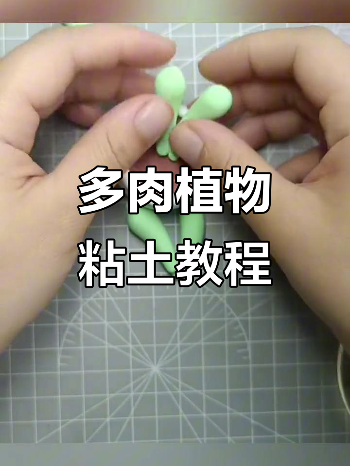 轻松捏多肉植物,粘土教程来啦!