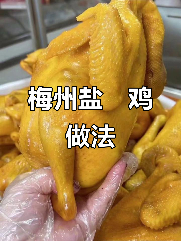 梅州盐焗鸡制作秘籍,全套技术配方大公开