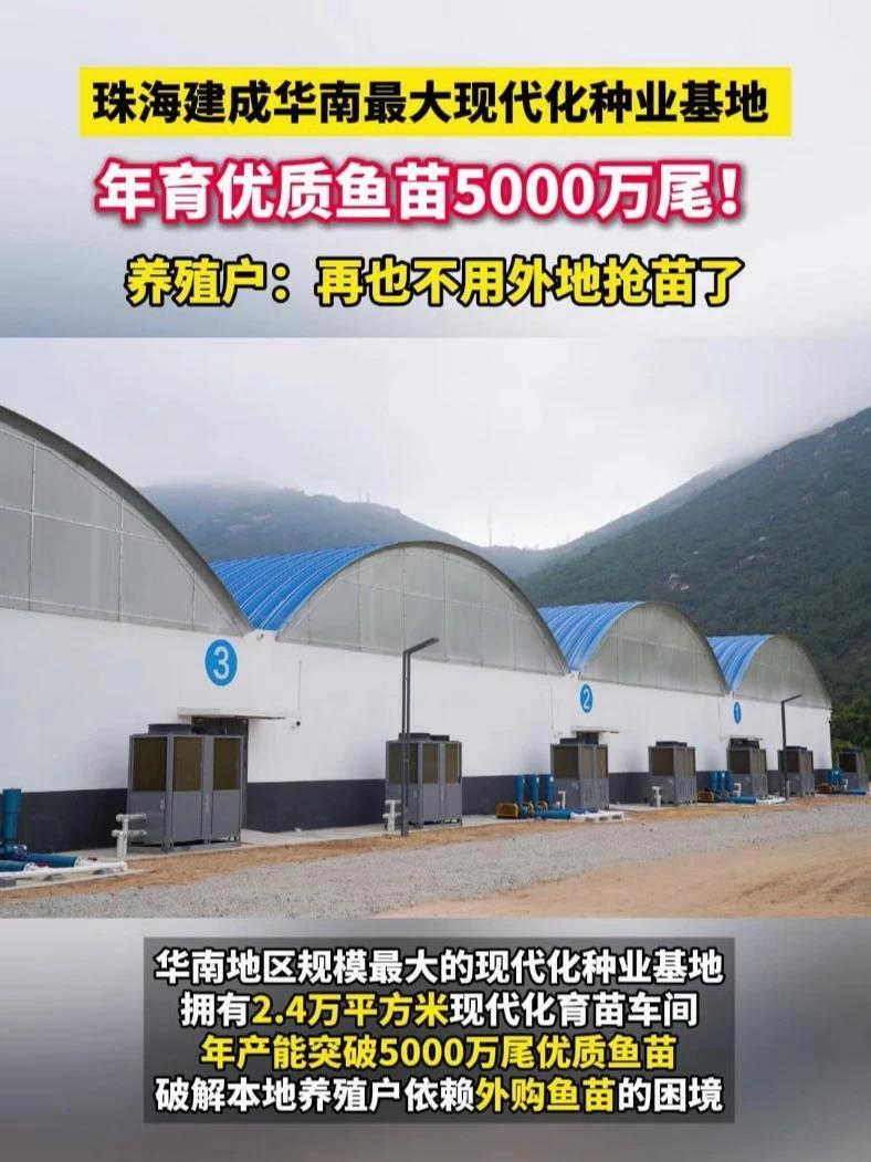 珠海建成华南最大现代化种业基地,年育优质鱼苗5000万尾!养殖户:再也不用外地抢苗了 鱼苗