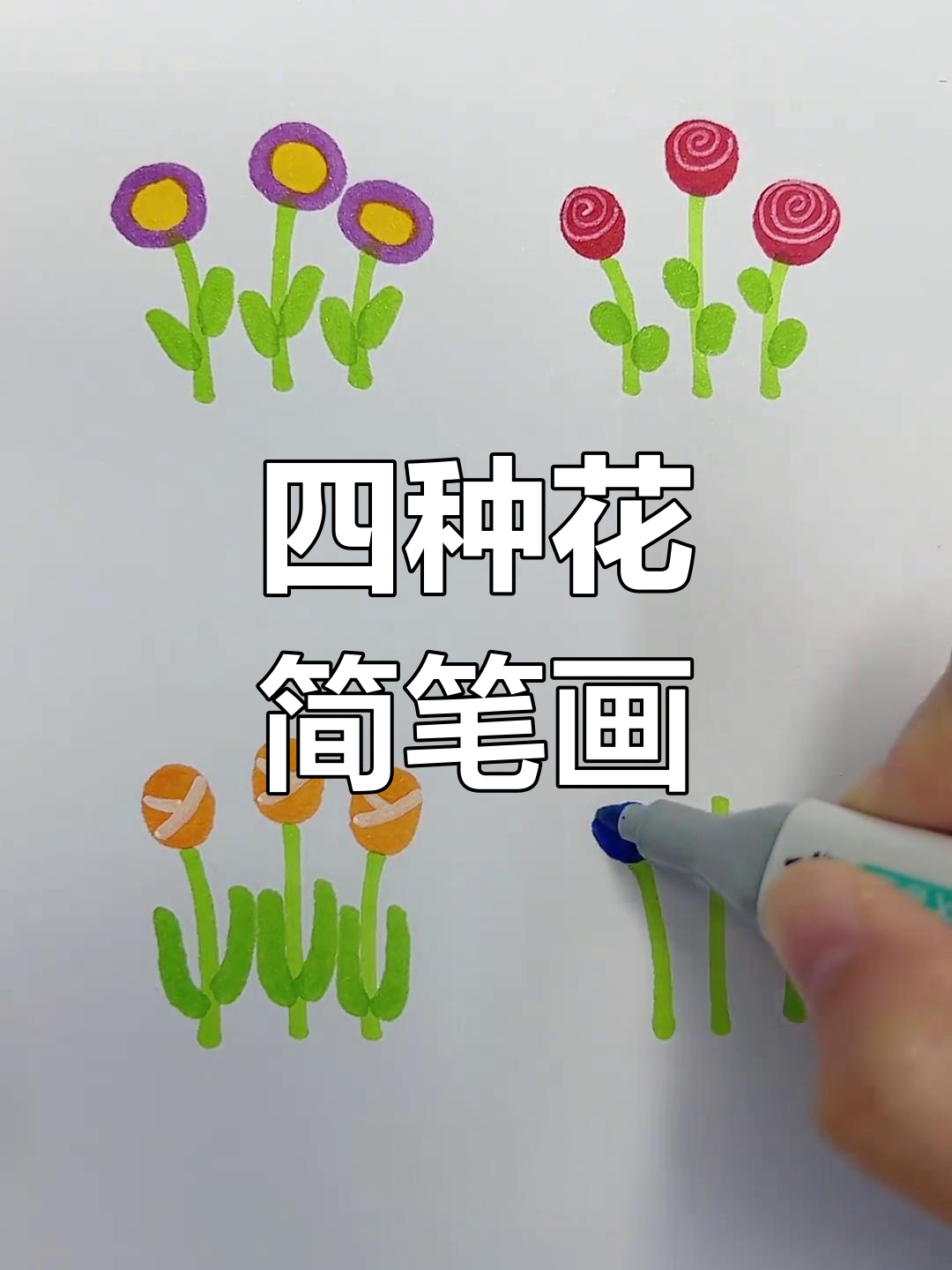简单又漂亮的四种花朵画法