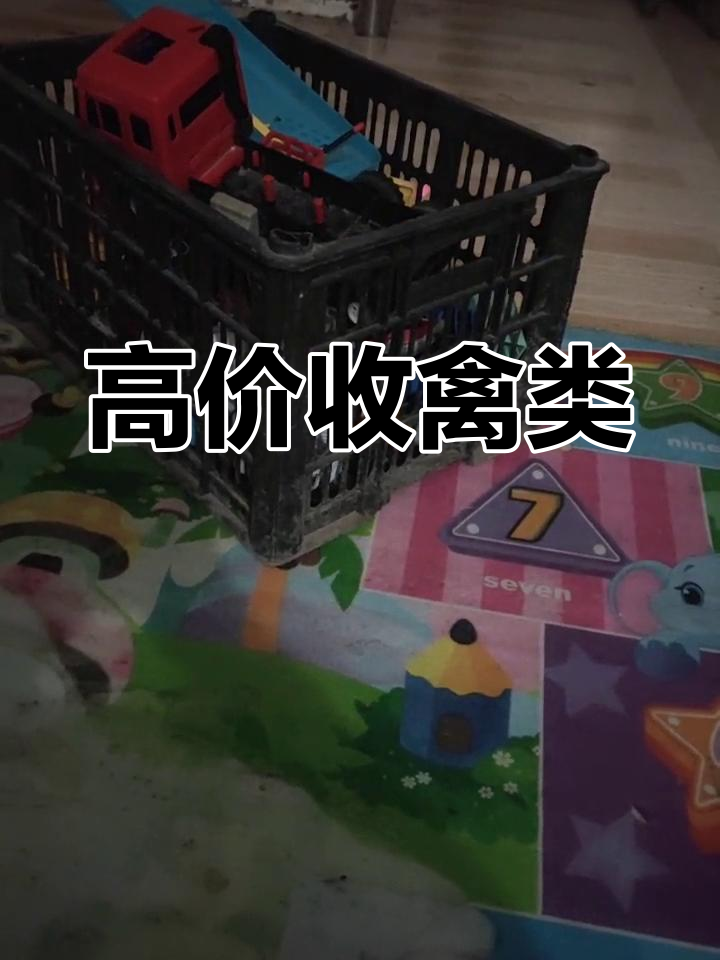 收购鹅、鸭及公鸡,高价回收!