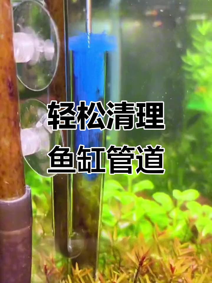鱼缸管件清洗神器,弹簧毛刷让过滤系统焕然一新