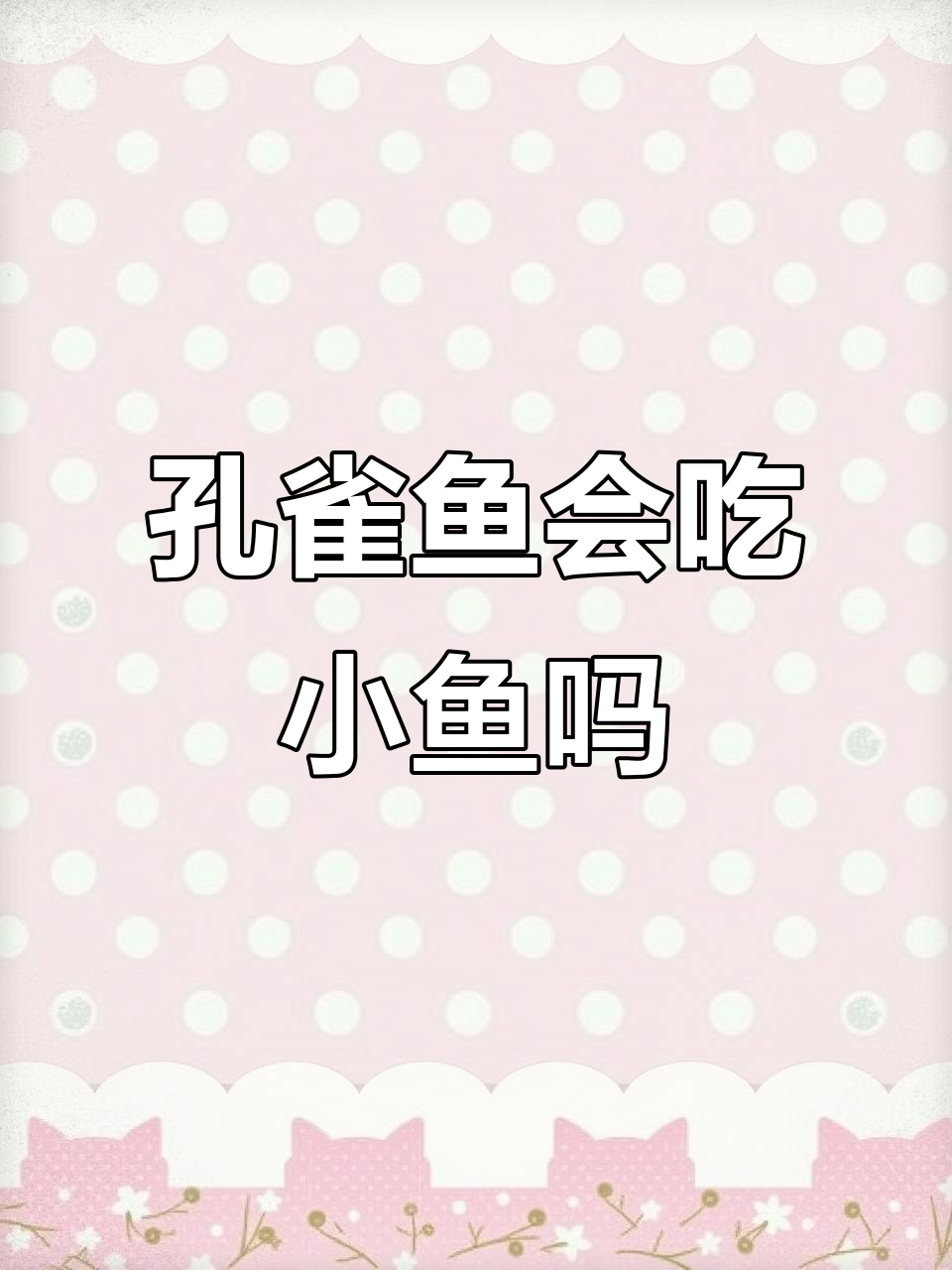 孔雀鱼到底会不会吃自己的宝宝？概率揭秘