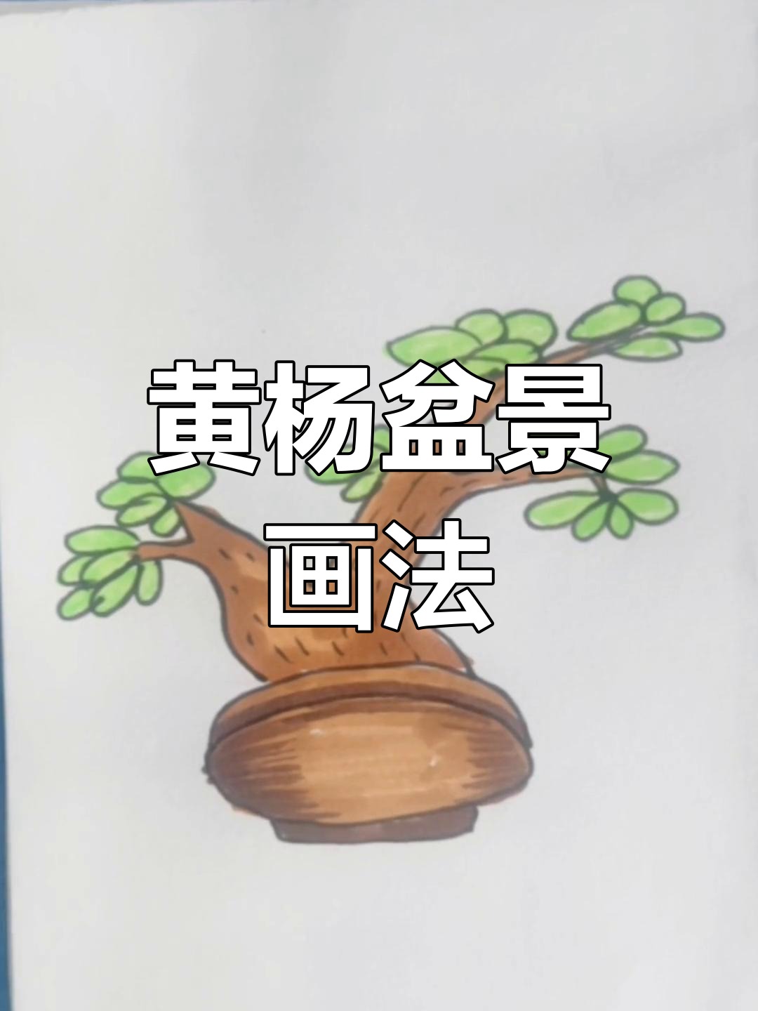轻松学会黄杨盆景简笔画,零基础也能搞定