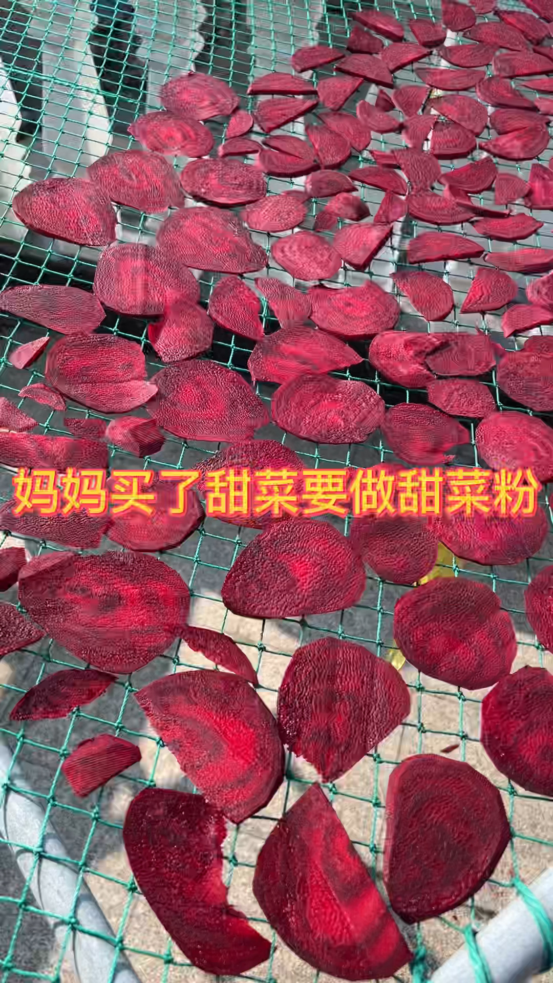 用新鲜甜菜做甜菜粉还挺简单的