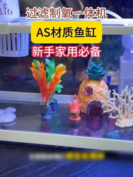 透明鱼缸换新，大气上档次，现在下单还有优惠券，快来体验吧！