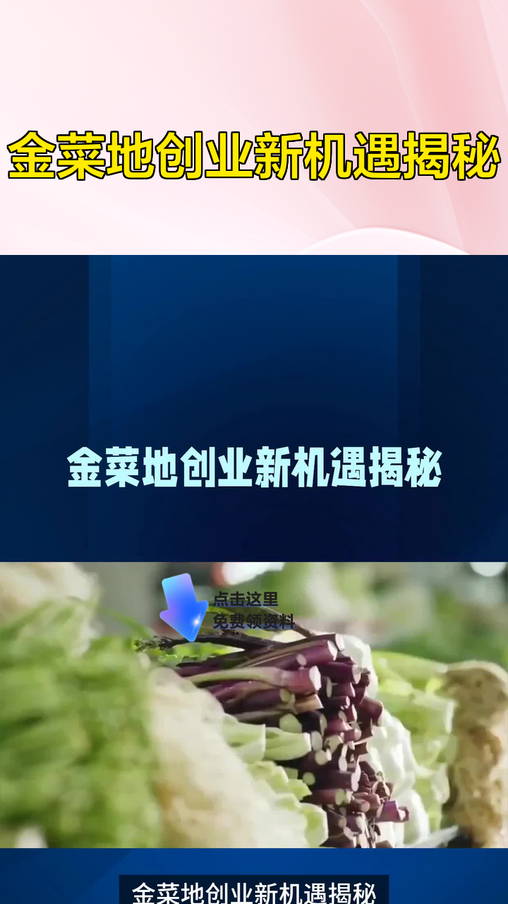 金菜地创业新机遇揭秘