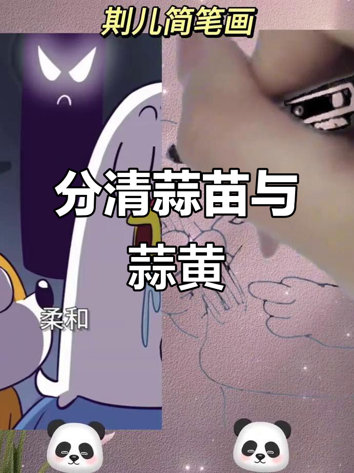 蒜苗、蒜苔和蒜黄,傻傻分不清?一起学画画!