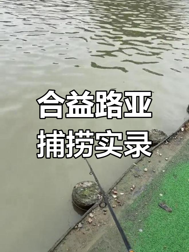 合益海钓场真实体验,钓鱼高手教你如何轻松捕捉大鱼