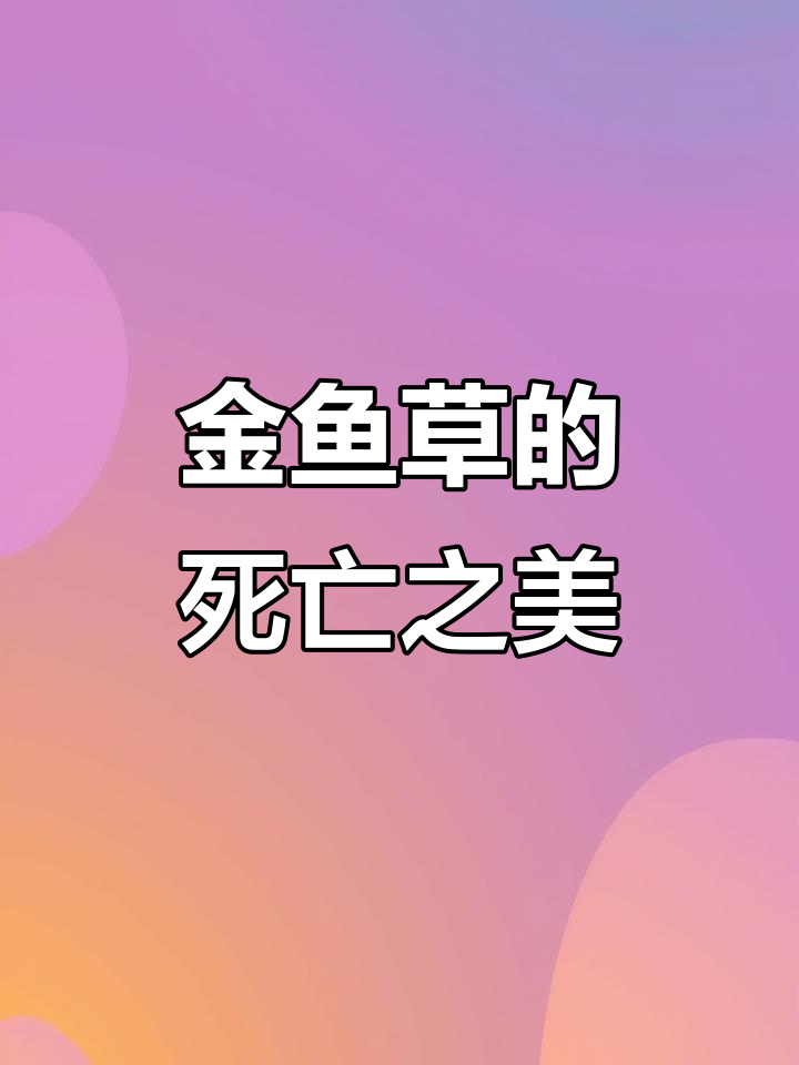 金鱼草枯萎变骷髅,神秘花语背后的传说与诅咒