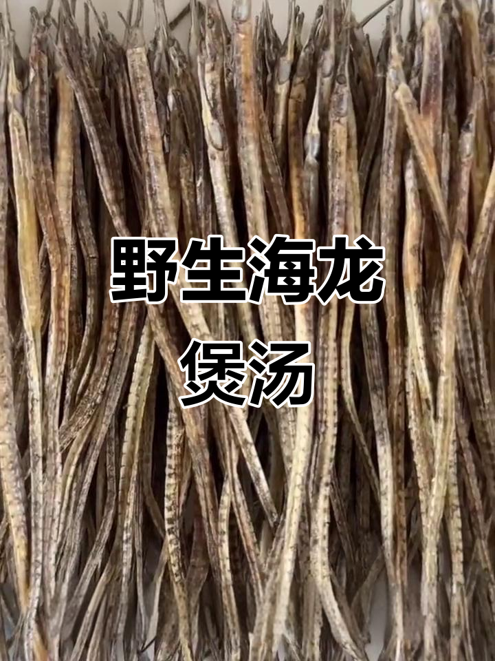 海龙汤滋补，营养丰富，海马虽似却非保护动物