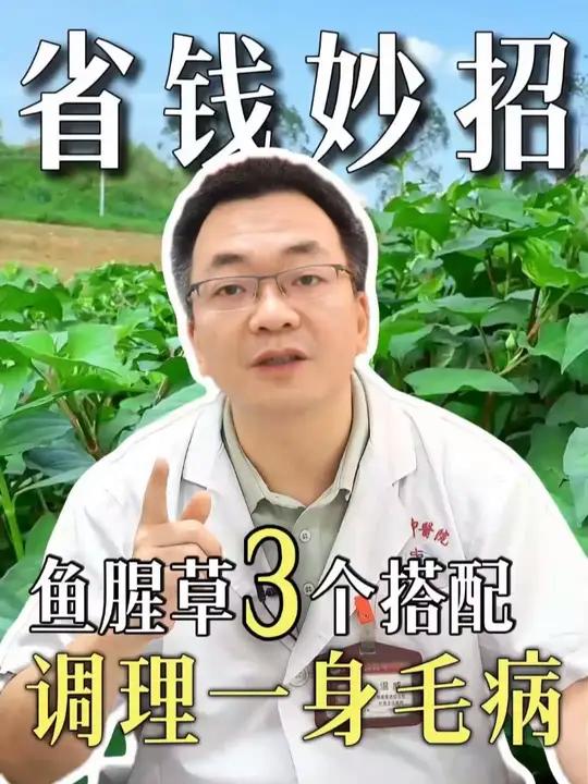 鱼腥草的3个宝藏搭配,家家户户要记好