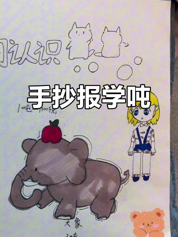 吨的认识:从手抄报看单位换算