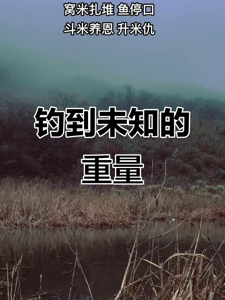 猜猜这条鱼有多重?挑战钓鱼极限,人生感悟来袭