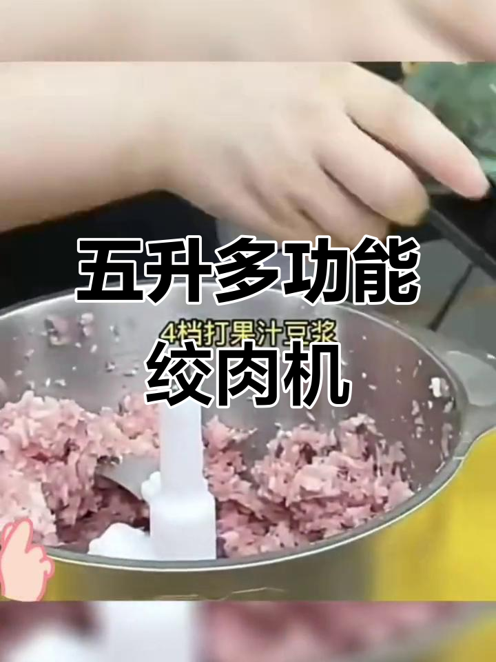 新飞五升绞肉机,多功能电动料理器,轻松打馅和面