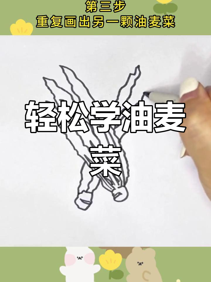 油麦菜的简单画法教程