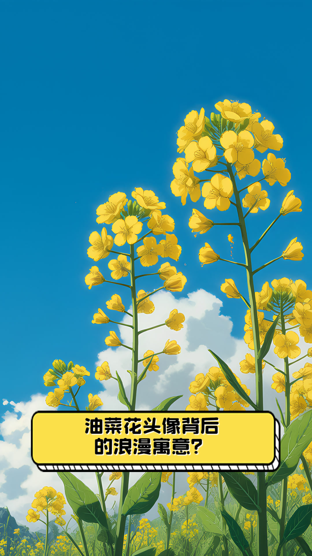 油菜花头像背后的浪漫寓意？