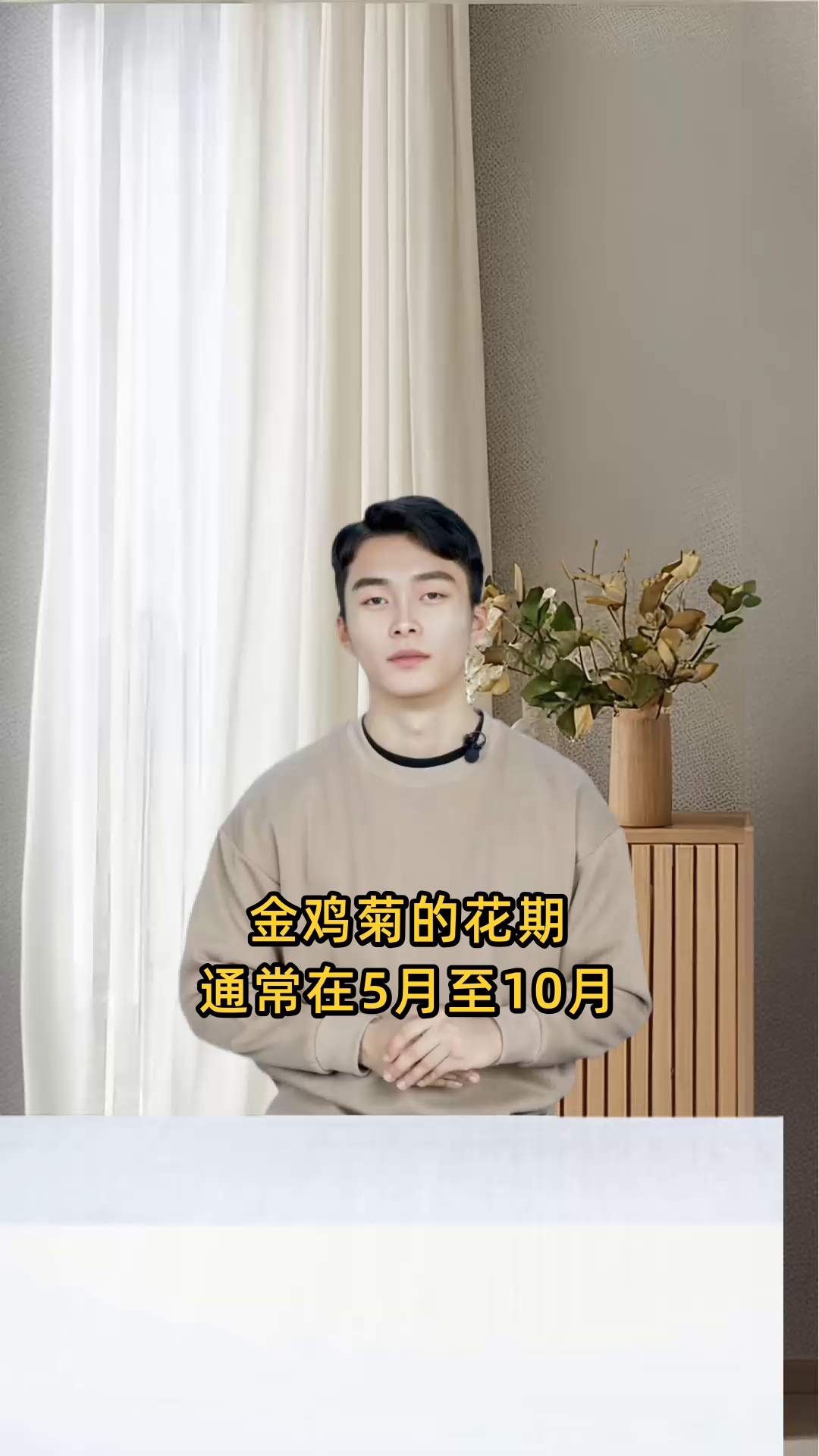 金鸡菊的花期是什么时候?全年都会开花吗?还是只在特定季节绽放?