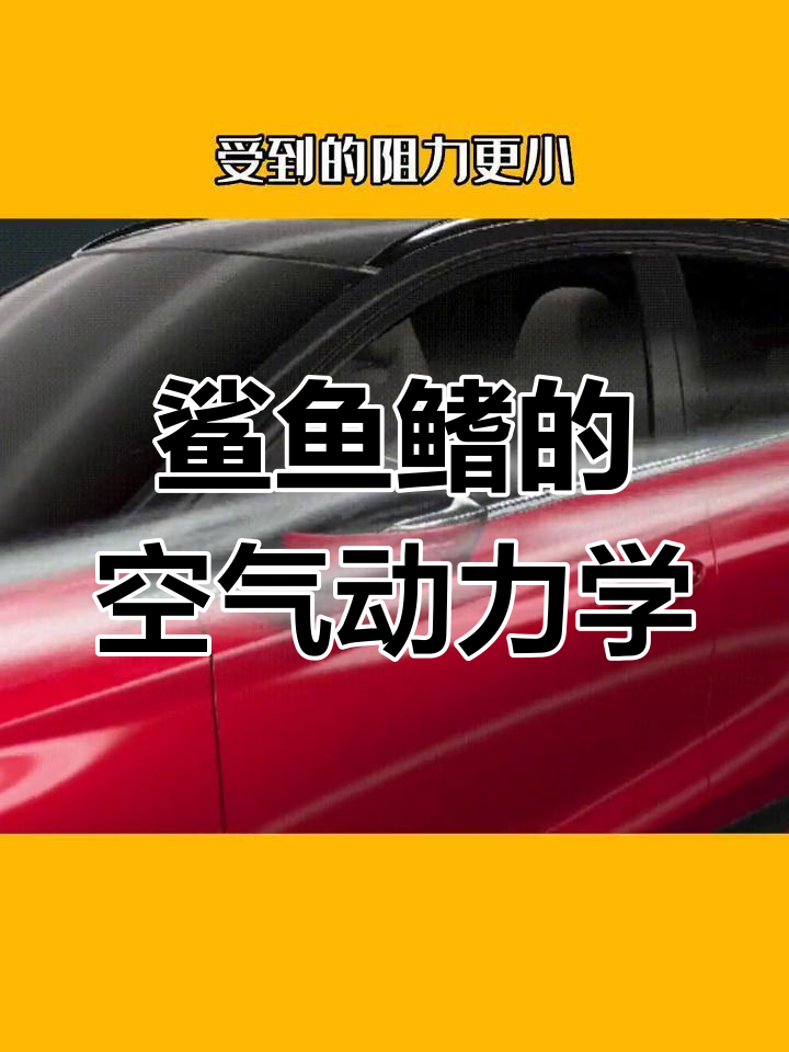 鲨鱼鳍的作用揭秘:如何提升操控与省油