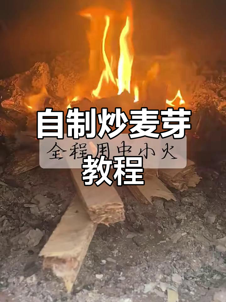 炒麦芽制作方法,轻松搞定泡水喝